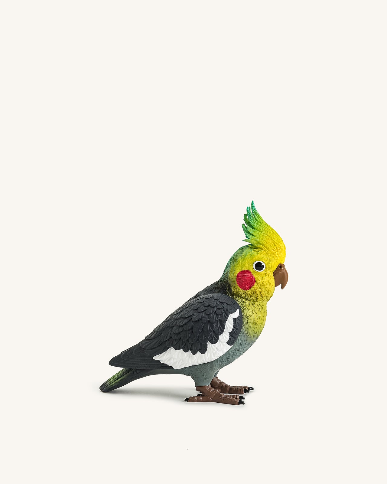 Clutch Gray Cockatiel – Mehrfarbig