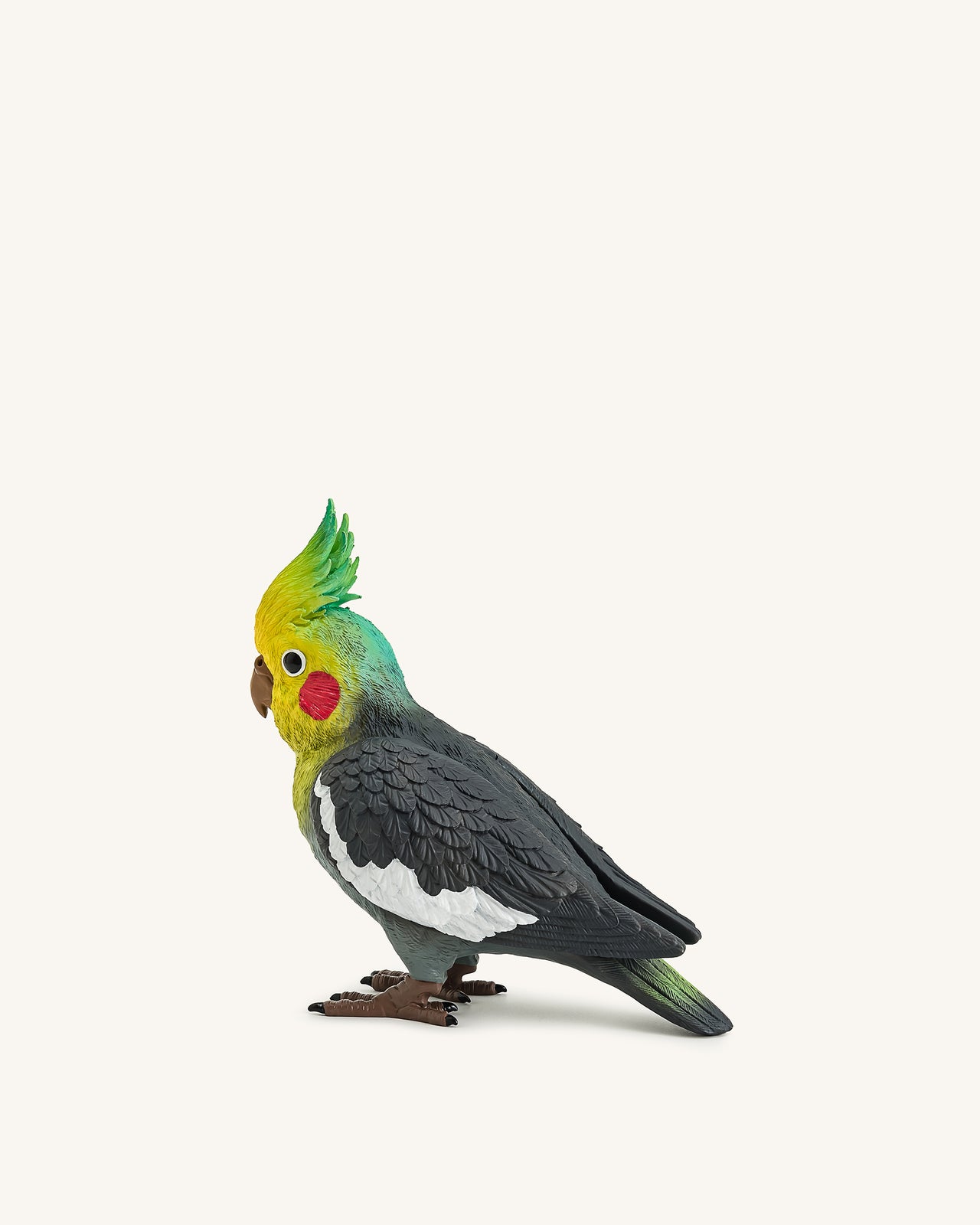 Clutch Gray Cockatiel – Mehrfarbig