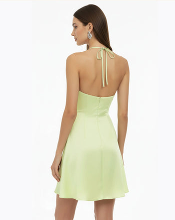 Neckholder-Mini-Kleid mit Orchideen-Stickerei - Hellgrün