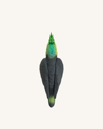 Clutch Gray Cockatiel – Mehrfarbig
