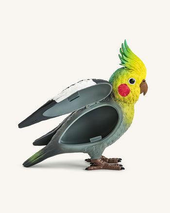 Clutch Gray Cockatiel – Mehrfarbig